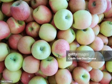 Aples Photos and Premium High Res Pictures - Getty Images