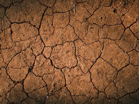 6 Super Effective Tips for Planting in Tough Clay Soil | Nextdoor Homestead