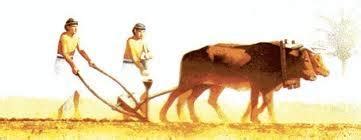 The Sumerians often hooked the plow to a strong and big animal to pull ...