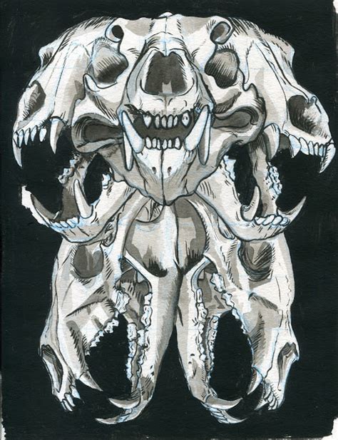 Bear Skull Drawing at PaintingValley.com | Explore collection of Bear Skull Drawing