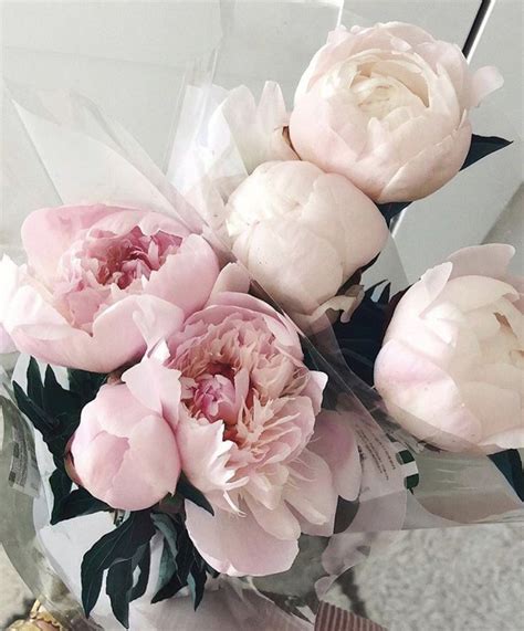 Pin by Milana on М | Flower arrangements, Trendy flowers, Beautiful flowers