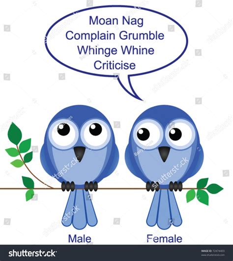 How Determine Sex Birds: vector de stock (libre de regalías) 72474403