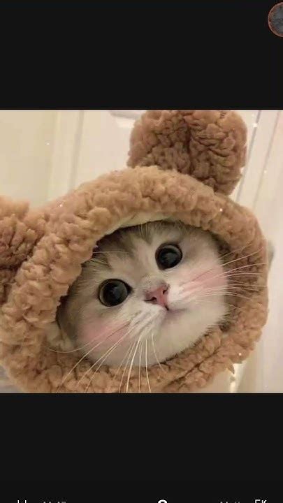 вы самые лучшие^^#лав#лави#лавки - YouTube