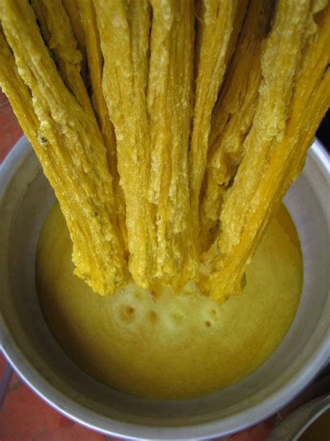 Dyeing | The Encyclopedia of Crafts in WCC-Asia Pacific Region (EC-APR)