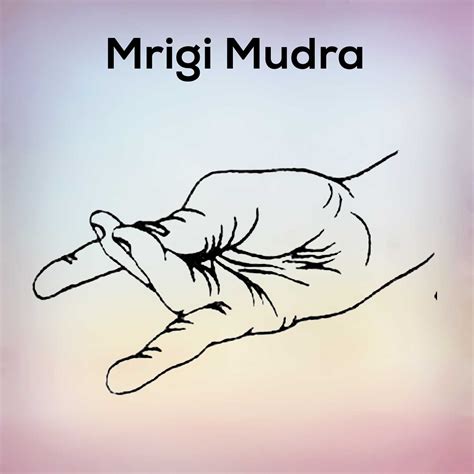 Mrigi Mudra Learn its steps pose, and benefits - nexoye