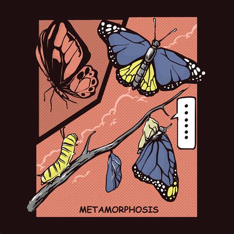 metamorphosis art 8