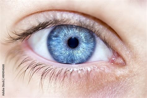 insightful look blue eyes boy Stock Photo | Adobe Stock