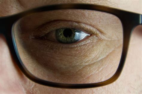 classic eyeglasses  ultimate style statement  men  willow tree