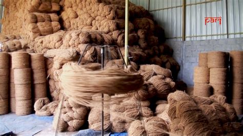 The shifting strands of coir