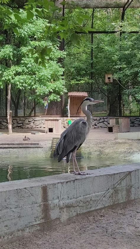 Twerk+In+Leggings Videos, Download The BEST Free 4k Stock Video Footage