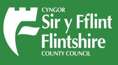 Flintshire County Council: Targeted Support Team - Childrens