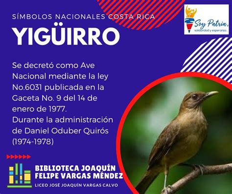 6. Símbolo Nacional: Yigüirro Ave Nacional | Beef, Food, Meat