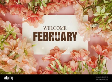 Welcome February typography text with flowers frame on pink background ...