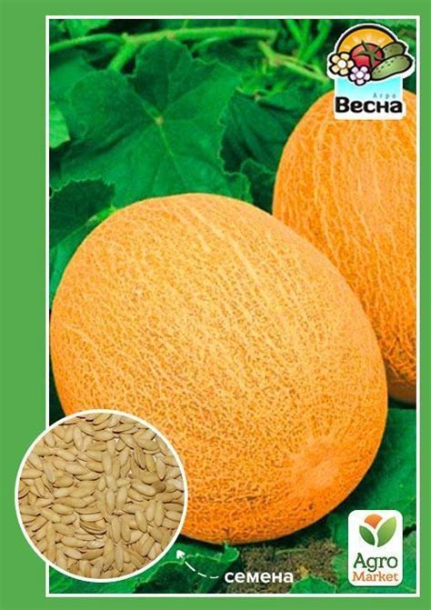 Дыня "Леся" ТМ "Весна" 1,5г купить почтой в Одессе, Киеве, Украине ...