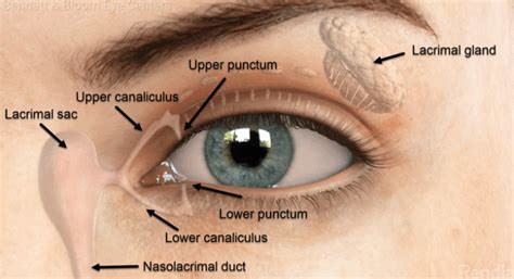 blocked tear duct diagnosis  treatment
