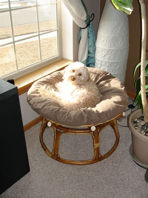 dog chair 4