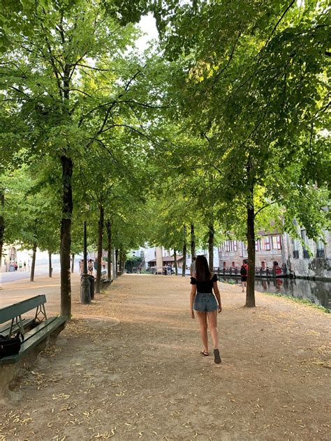 Carolina Gomez Zúñiga