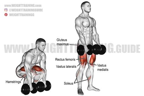 Dumbbell deadlift exercise guide and video | Weight Training Guide