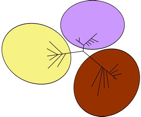 evolution wikiwand