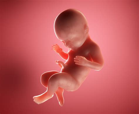 40 Weeks Pregnant - Bump, Baby's Size at 40 Weeks | Emma's Diary