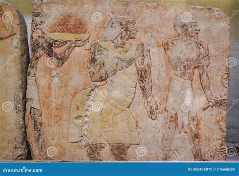 hatshepsut punt expedition reliefold egyptian museumcairoegypt