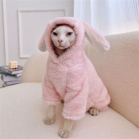 Cat Clothes Pinterest at Eric Pulido blog