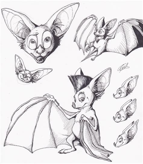 Bat sketches by ewedy2 on DeviantArt