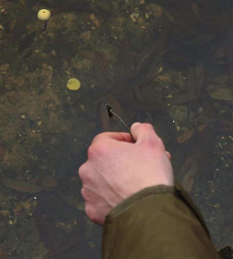 clear water carping