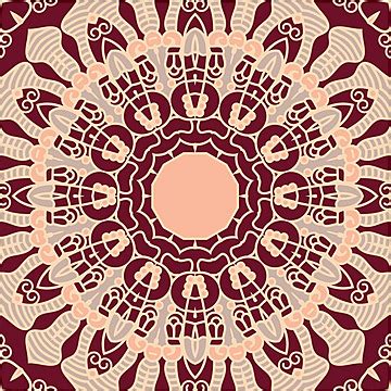 photo background png transparent images   vector