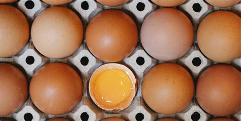 anti gaspi la loi sur la date de peremption des oeufs evolue phenix pro