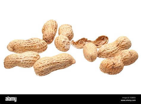 Peanut in shell isolated on white background Stock Photo - Alamy