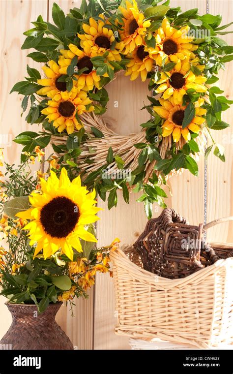 household sunflowers  res stock photography  images alamy