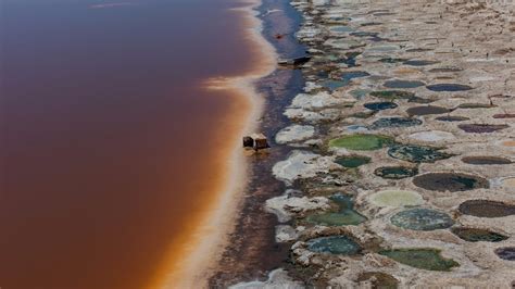 Petition · Save and Restore the Salton Sea - United States · Change.org