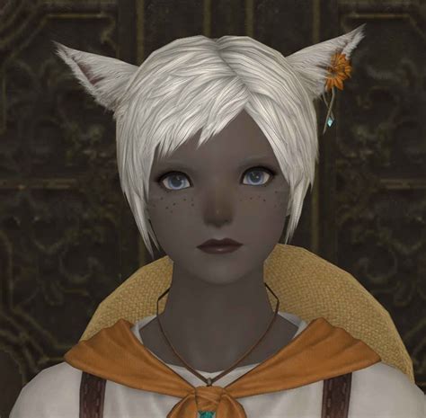 Dawntrail Keeper Miqo'te face 4 eyebrows don't match hair color