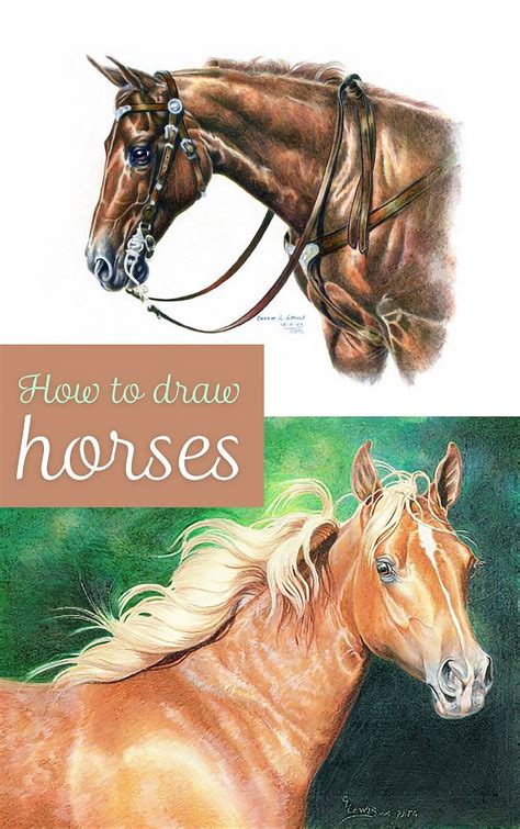 How to Draw Horses: 11 Step-by-Step Videos & Tutorials for Aspiring ...