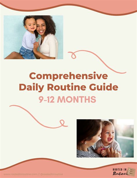 Melbourne Bus Routes: Comprehensive Guide to Lines and Schedules 6