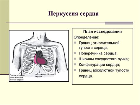 Семиотика заболеваний сердечно-сосудистой системы - презентация онлайн