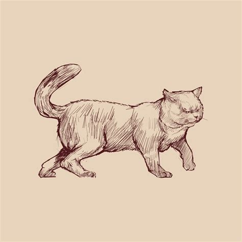 Premium Vector | Illustration drawing style of cat