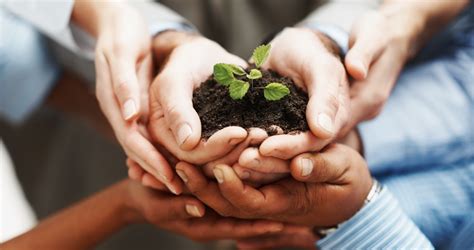 growing  carlsbad chamber  commerce