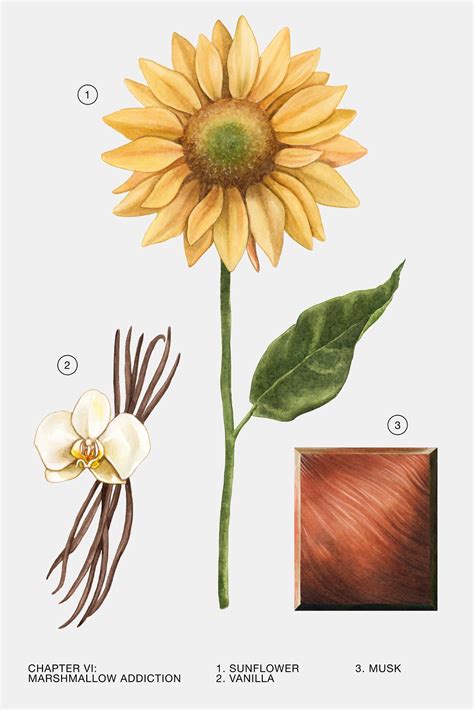 K-Zone » ZARA MARSHMALLOW ADDICTION 80 ML EAU DE PARFUM