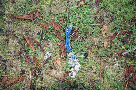 3338 Una | Paula Wild