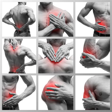 O Que Causa Espasmo - Espasmo muscular - principais causas - Fisiologia - InfoEscola