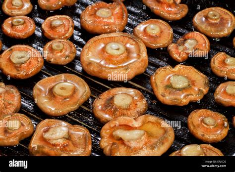 Group of grilled Saffron Milk Cap Stock Photo - Alamy
