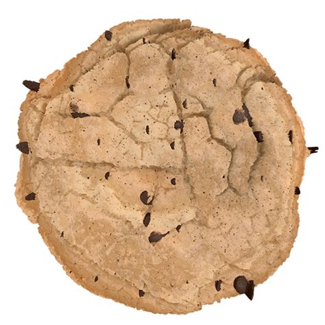 Baked Cookie Texture with Chocolate Chips | Free PBR | TextureCan