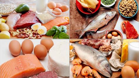 Is 100 Grams of Protein Enough to Build Muscle? - My Bodyweight Exercises