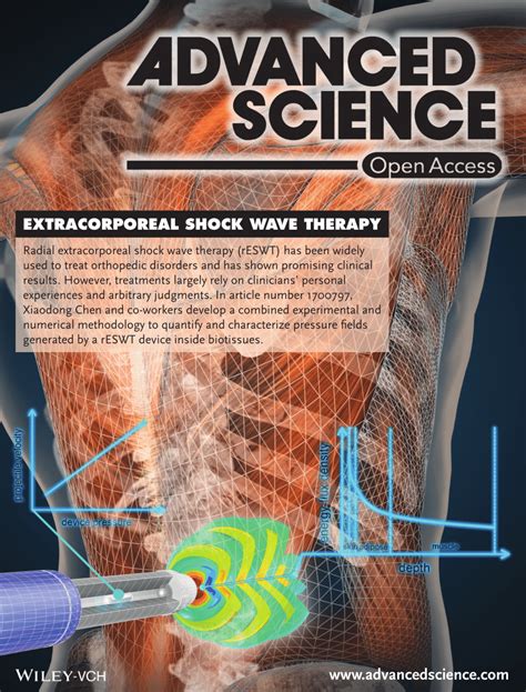 extracorporeal shock wave therapy quantitative assessments