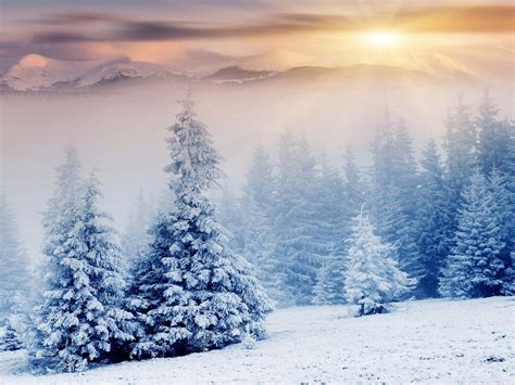 Winter Wonderland Scenes Wallpaper (38+ images)