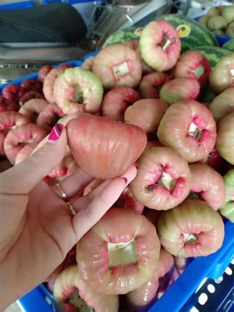 qua bong bong ket noi cung cau nong san  toan thanh hoa