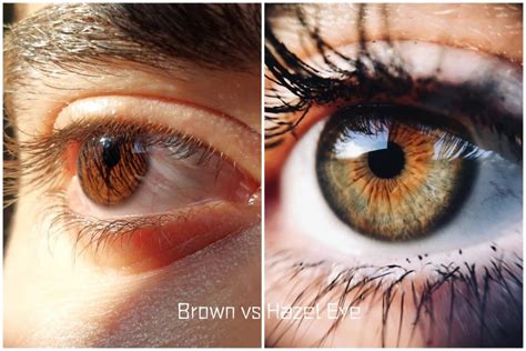 Brown Eyes Facts: What Makes Them Unique - TTDEYE