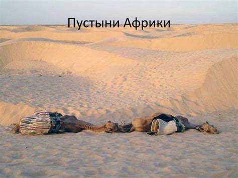Пустыни Африки - презентация онлайн